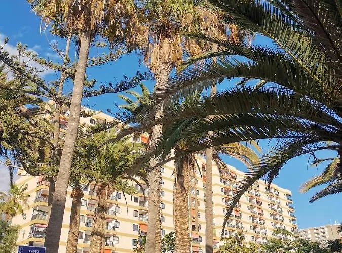 Cristianos Orange Trees Vue Panoramique ロスクリスティアーノス