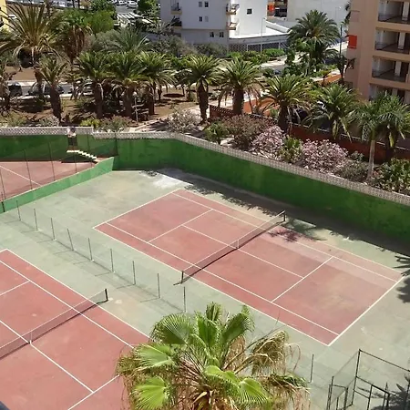 Cristianos Orange Trees Vue Panoramique *