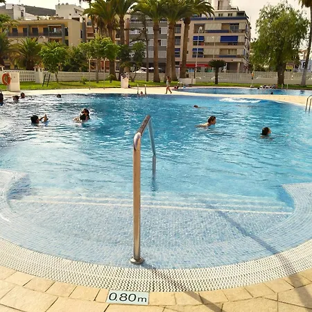 Cristianos Orange Trees Vue Panoramique Los Cristianos (Tenerife)