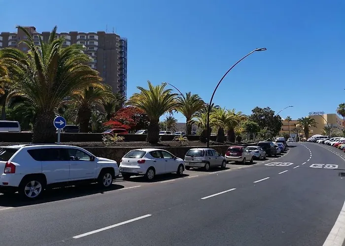 Cristianos Orange Trees Vue Panoramique Los Cristianos (Tenerife)