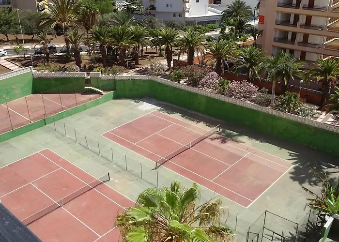 Cristianos Orange Trees Vue Panoramique *