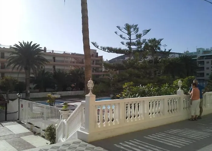 Cristianos Orange Trees Vue Panoramique *