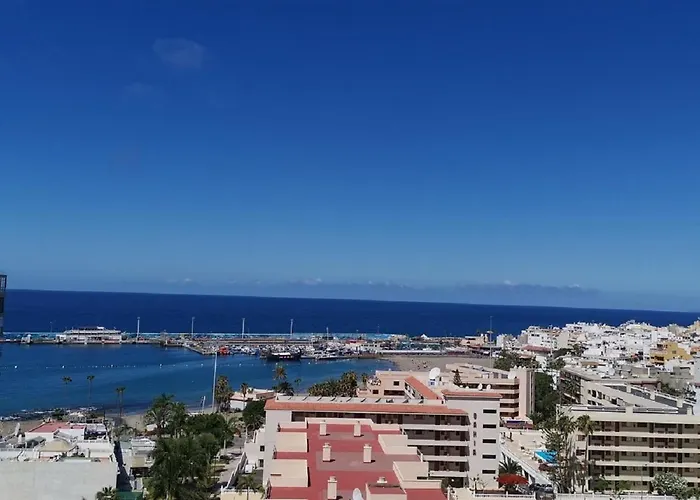 Cristianos Orange Trees Vue Panoramique