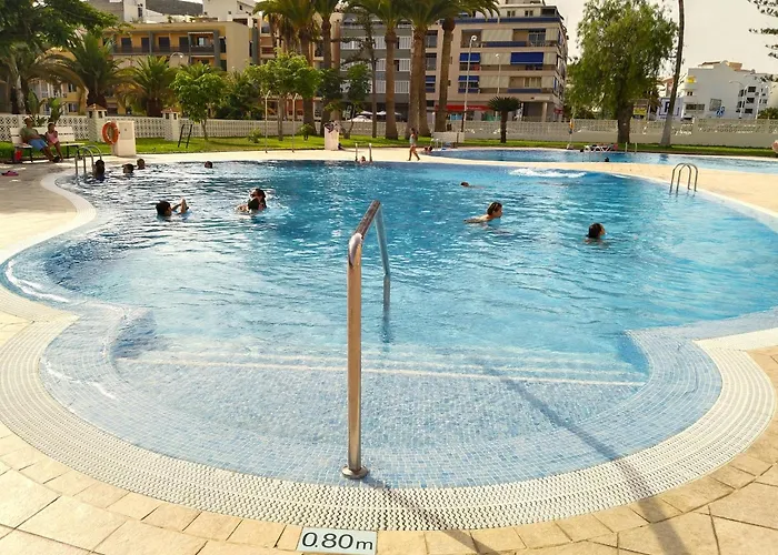 Cristianos Orange Trees Vue Panoramique Los Cristianos (Tenerife)