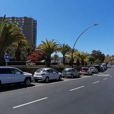 Cristianos Orange Trees Vue Panoramique Los Cristianos (Tenerife)