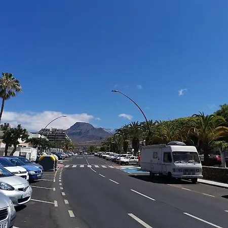 Cristianos Orange Trees Vue Panoramique Daire Los Cristianos (Tenerife)