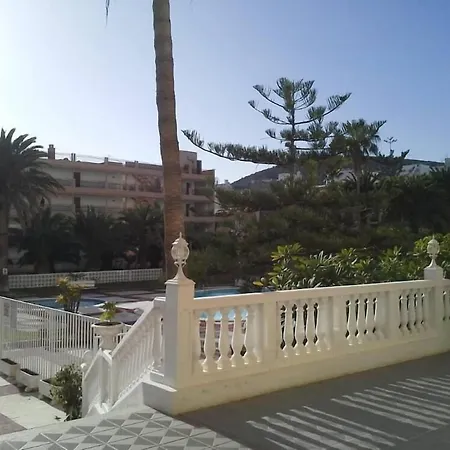 Cristianos Orange Trees Vue Panoramique *